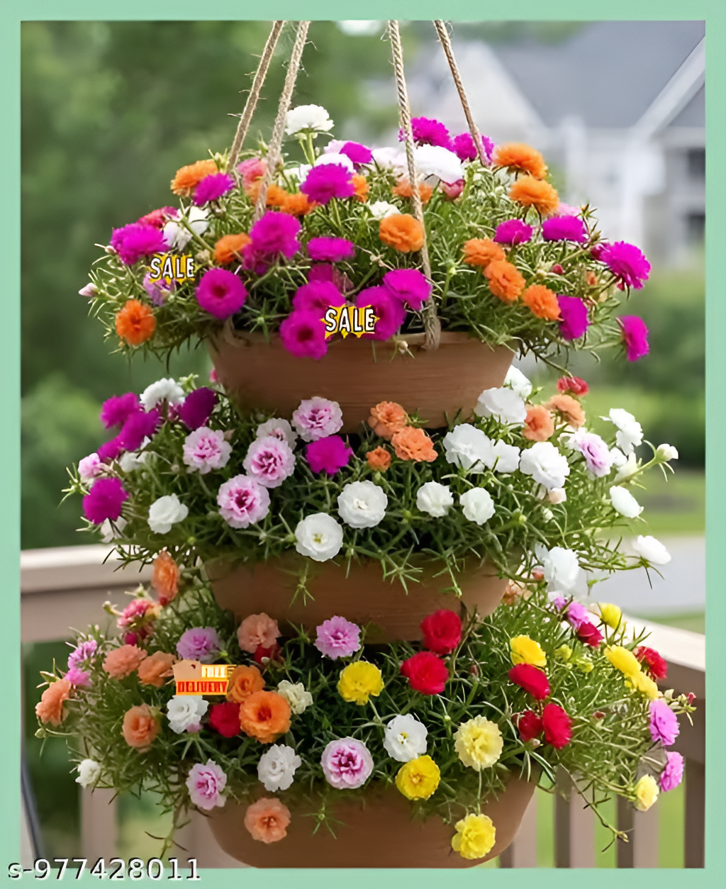 Portulaca Flower Seeds Mixed Color | Moss Rose Seeds for Home Garden | Easy Summer Flower |